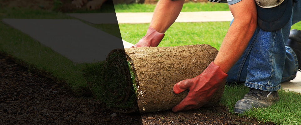 North Arlington Landscapers